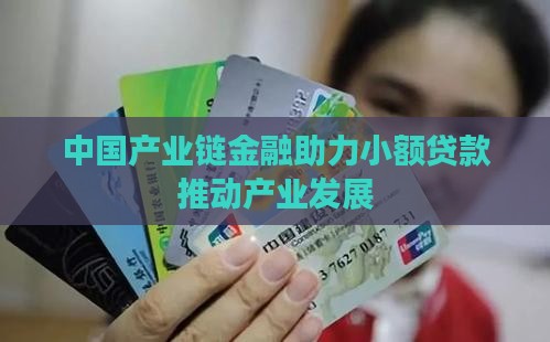 产业链小额贷款