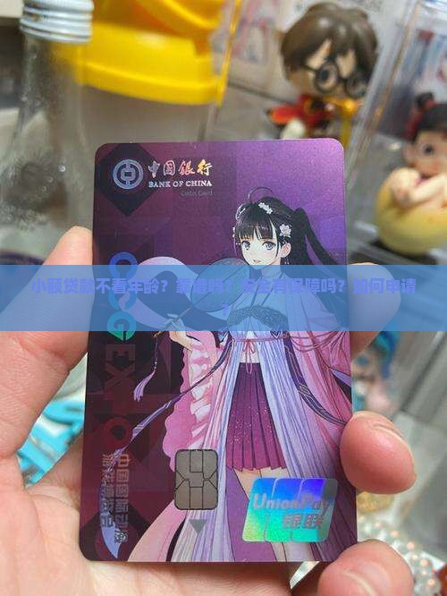 小额贷款不看年龄软件