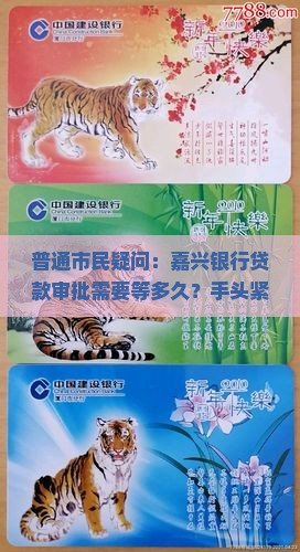 嘉兴银行贷款情况