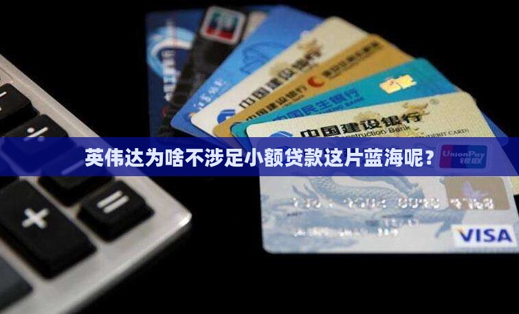 为什么英伟达不搞小额贷款