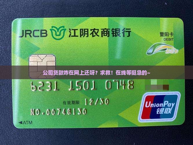 公司贷款怎么在网上还款