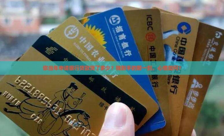当年获得银行贷款金额 当年获得银行贷款金额