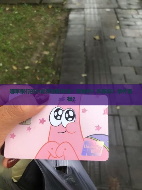 哪家银行可小额贷款好批