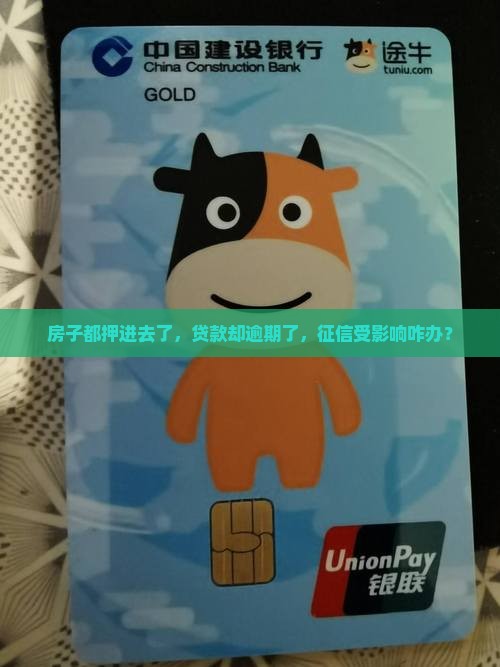 抵押房产贷款逾期征信