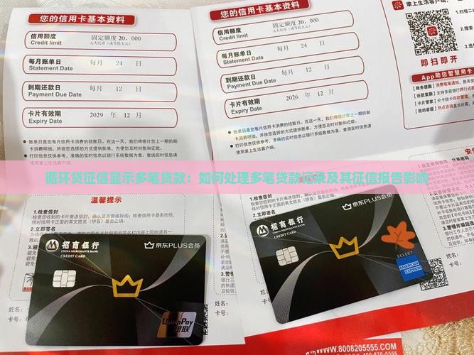 循环贷征信显示多笔贷款