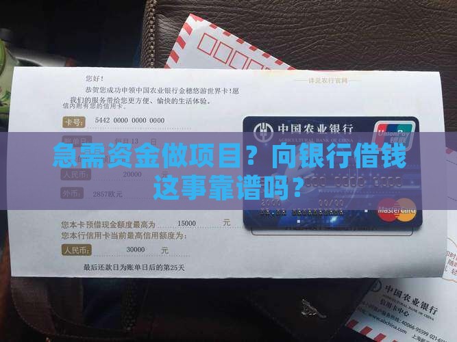 向银行借项目贷款申请