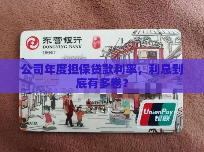 公司年度担保贷款利率