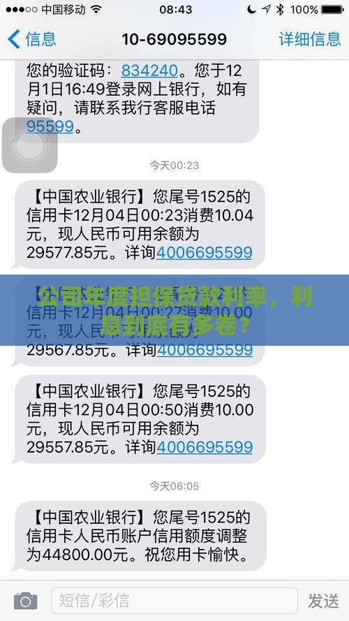 公司年度担保贷款利率