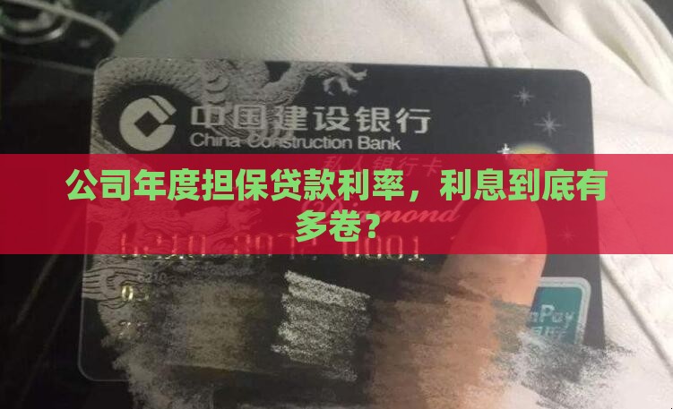 公司年度担保贷款利率