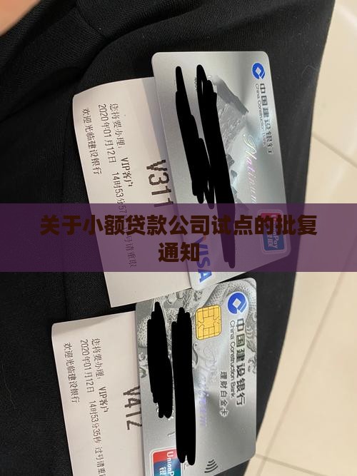 小额贷款试点批复