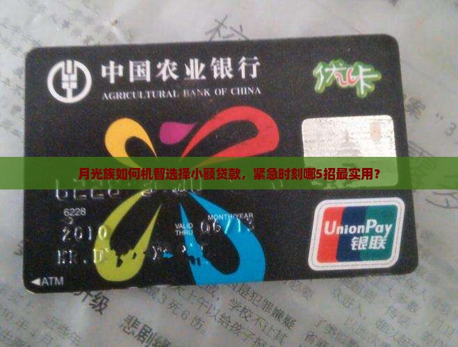 小额贷款用啥