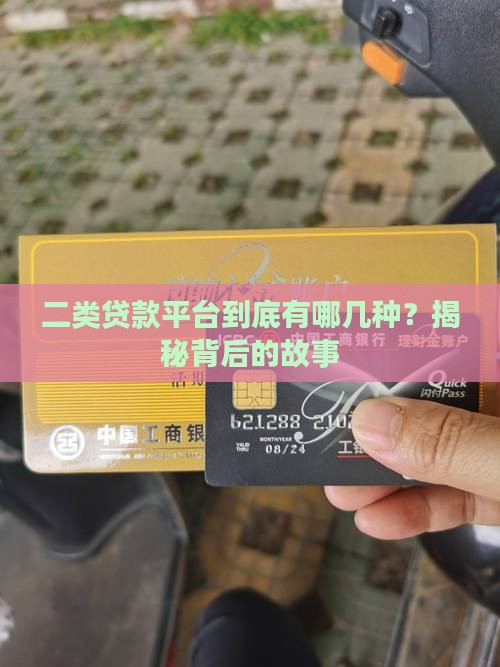 二类贷款平台有哪些种类