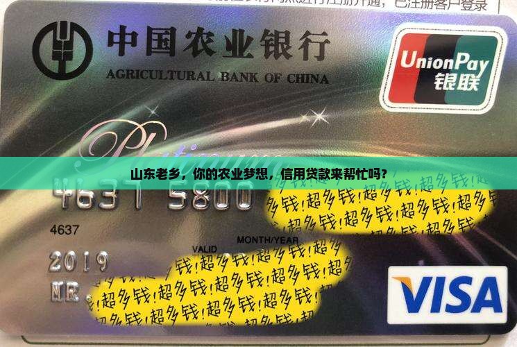 山东农业信用贷款政策