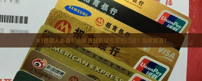 小米贷款有那些