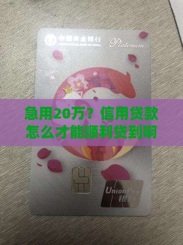 信用贷款如何贷到20万