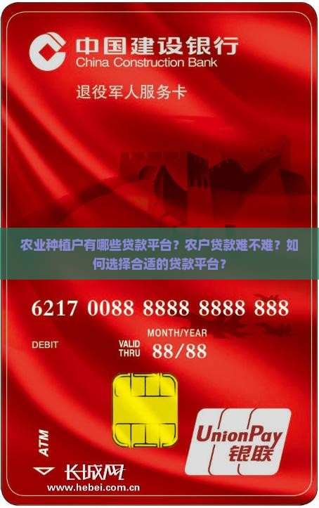 农业家有啥贷款的平台
