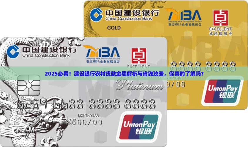 建设银行农村贷款金额