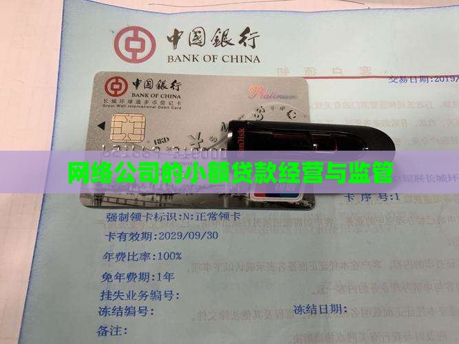 互联网小额贷款的经营