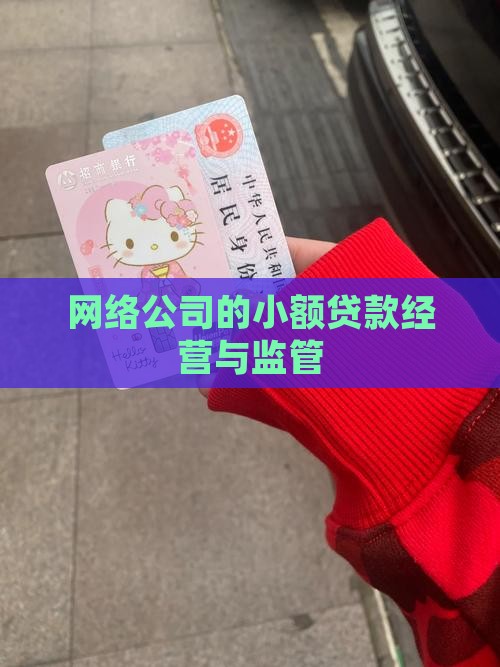 互联网小额贷款的经营