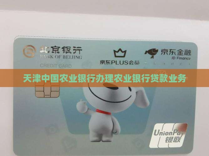天津农业银行办贷款