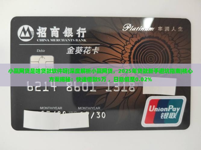 小赢网贷是啥贷款软件呀