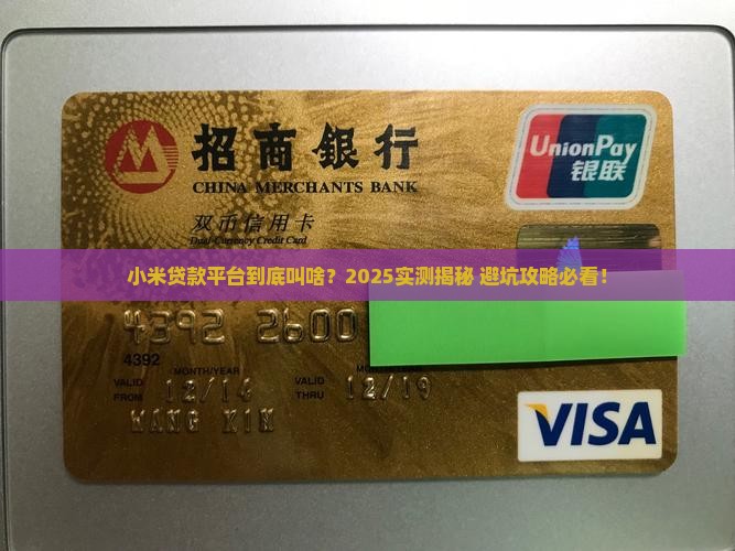 小米贷款平台叫什么平台