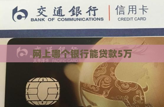 网上哪个银行能贷款5万