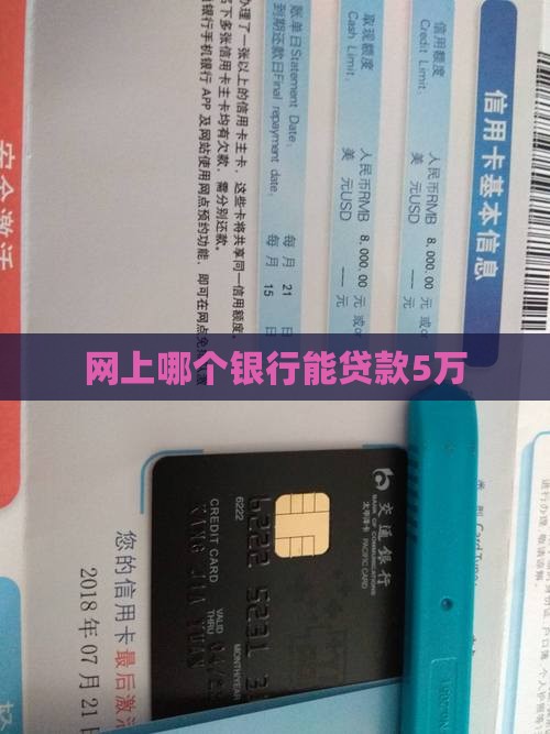网上哪个银行能贷款5万