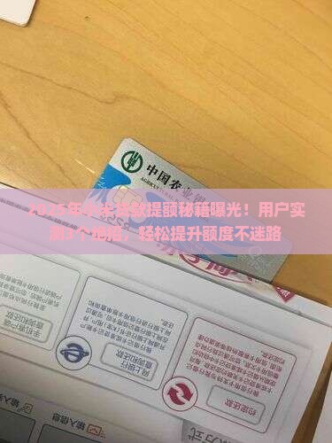 小米贷款在哪提额
