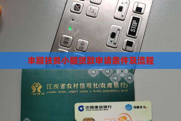 丰顺扶贫小额贷款