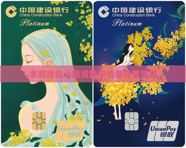 丰顺扶贫小额贷款