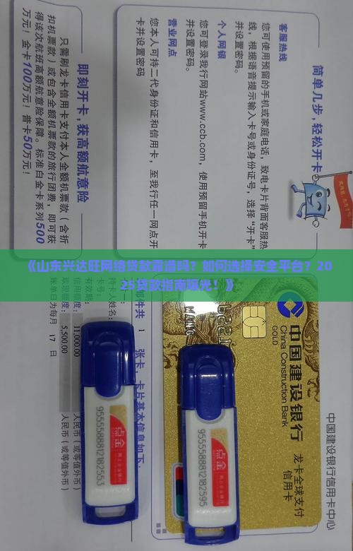 山东兴达旺网络贷款