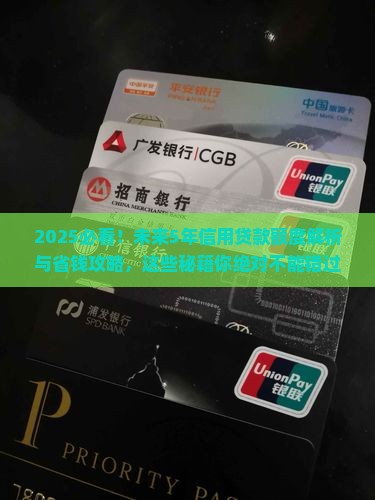 未来5年信用贷款额度