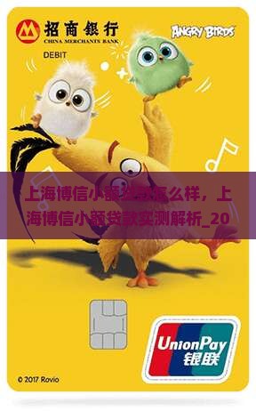 上海博信小额贷款怎么样