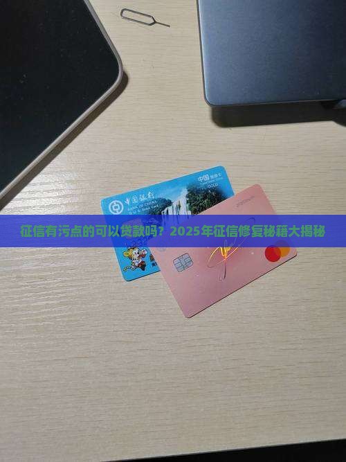 征信有污点的可以贷款吗