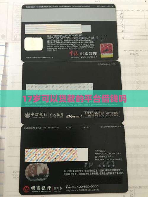 有没有17岁贷款的平台啊