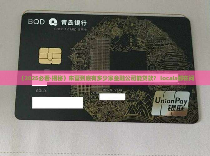 东营有几家金融公司贷款