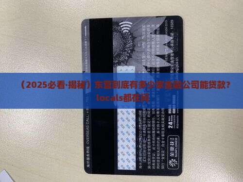 东营有几家金融公司贷款