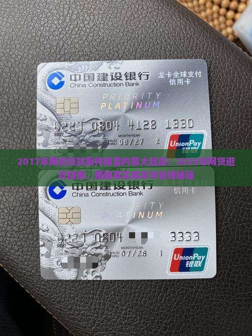 2017年网络贷款案件