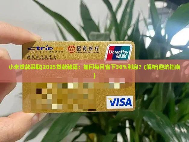 小米贷款采取