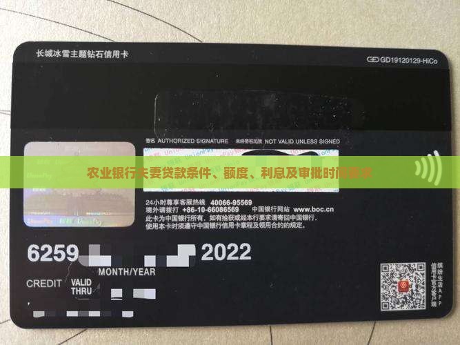 农业银行夫妻贷款