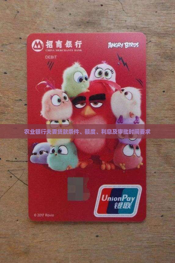 农业银行夫妻贷款