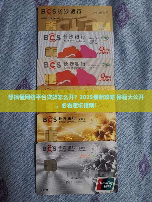 怎么开办网络平台贷款