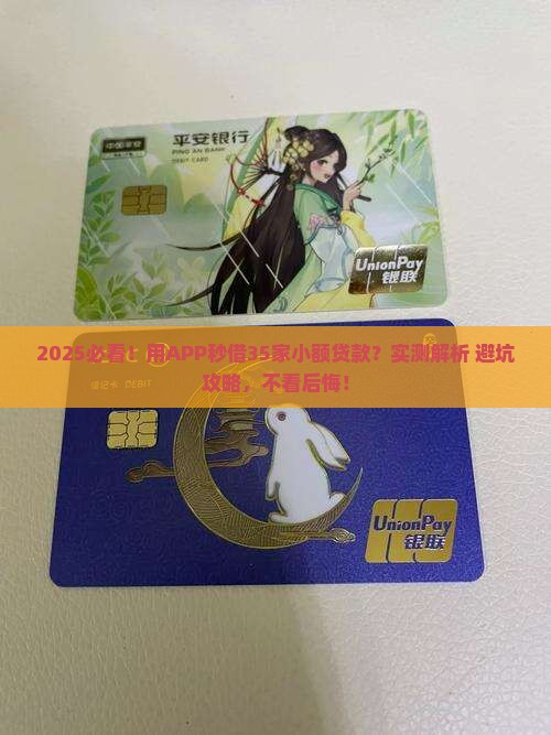 用APP向35家进行了小额贷款