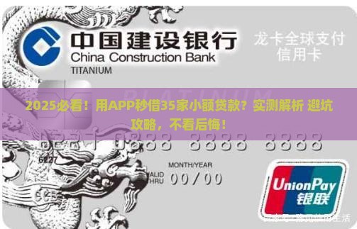 用APP向35家进行了小额贷款