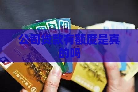 公司贷款有额度是真的吗