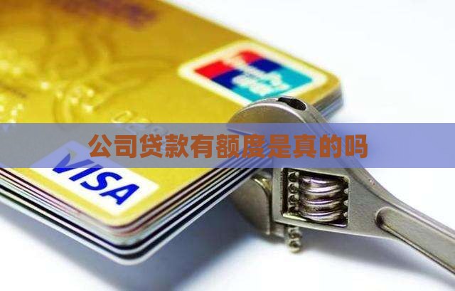 公司贷款有额度是真的吗