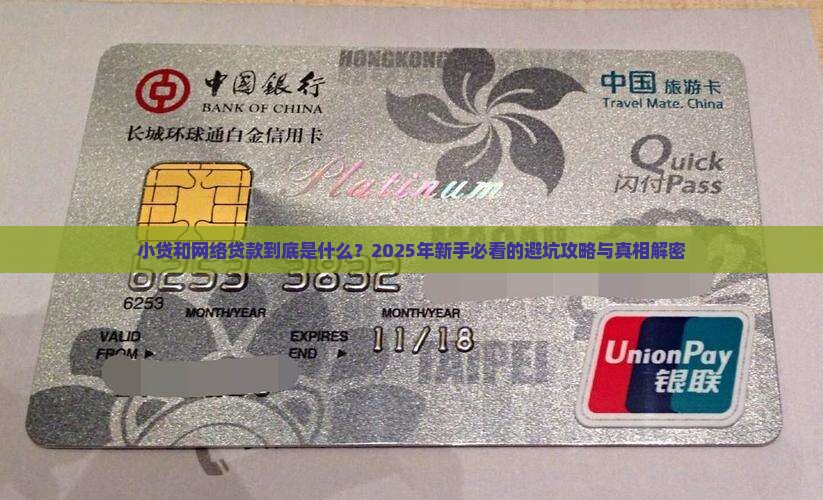 什么是小贷和网络贷款