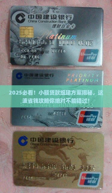 小额贷款组建方案