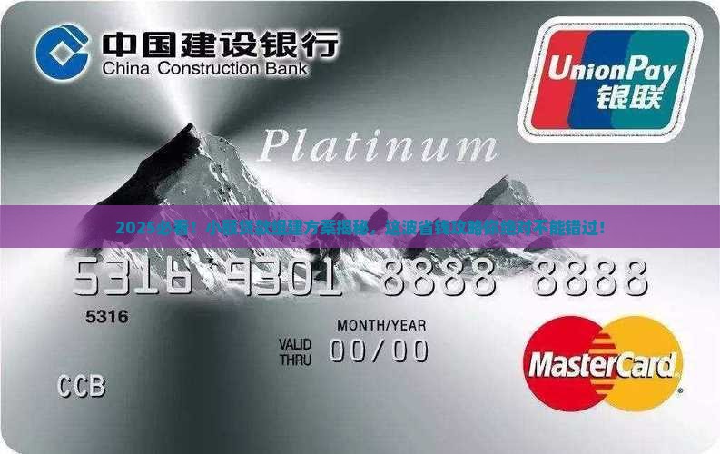 小额贷款组建方案